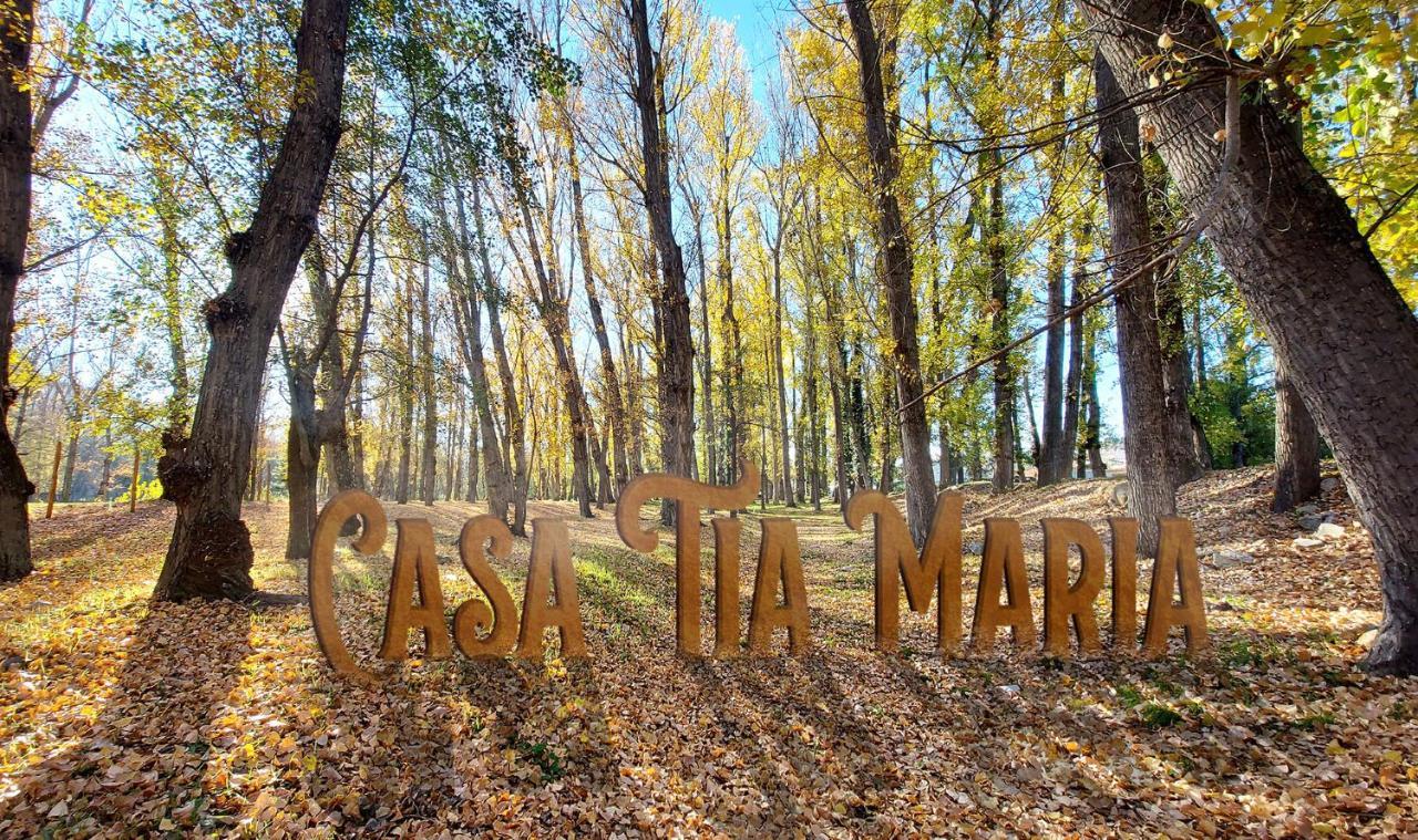 Casa Tia Maria Villa Navaluenga Eksteriør billede